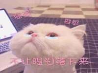 哈尔滨智慧星教育信息咨询有限责任公司