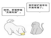 哈尔滨智慧星教育信息咨询有限责任公司