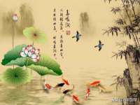 哈尔滨智慧星教育信息咨询有限责任公司