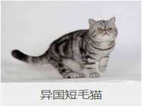 哈尔滨智慧星教育信息咨询有限责任公司