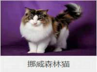 哈尔滨智慧星教育信息咨询有限责任公司