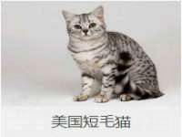 哈尔滨智慧星教育信息咨询有限责任公司