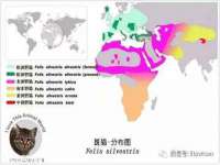 哈尔滨智慧星教育信息咨询有限责任公司
