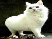 哈尔滨智慧星教育信息咨询有限责任公司
