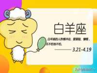 哈尔滨智慧星教育信息咨询有限责任公司