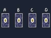 哈尔滨智慧星教育信息咨询有限责任公司