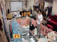 哈尔滨智慧星教育信息咨询有限责任公司